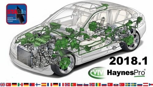 Hayanes Pro (manuales gráficos) varios idiomas