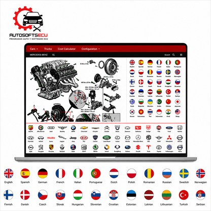 🔥Database Pro Online – Cuenta Profesional por 1 Año (COCHES Y CAMIONES)