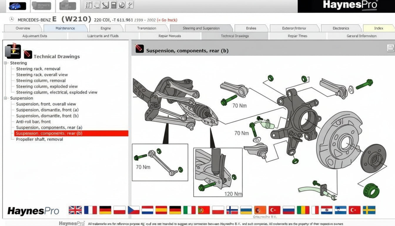 Hayanes Pro (manuales gráficos) varios idiomas